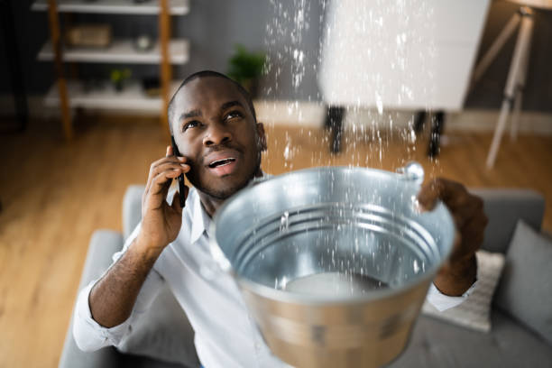 Best Sewage cleanup and water damage restoration  in Honey Grove, TX
