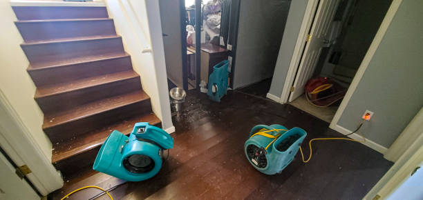 Best Water damage restoration services  in Honey Grove, TX