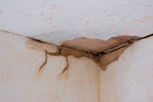 Best Flooded house restoration  in Honey Grove, TX