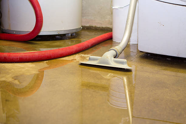 Best Water damage restoration near me  in Honey Grove, TX