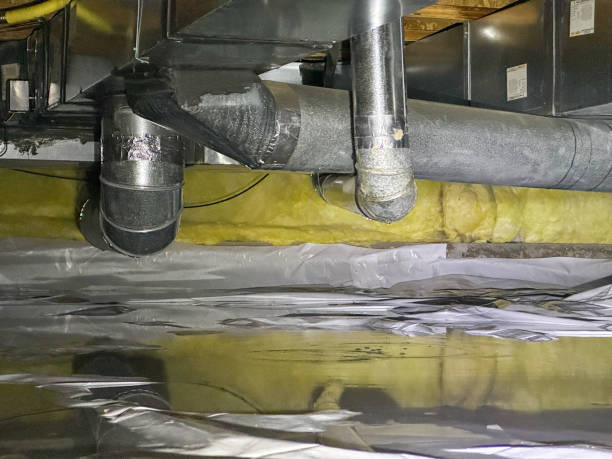 Best Mold removal after water damage  in Honey Grove, TX