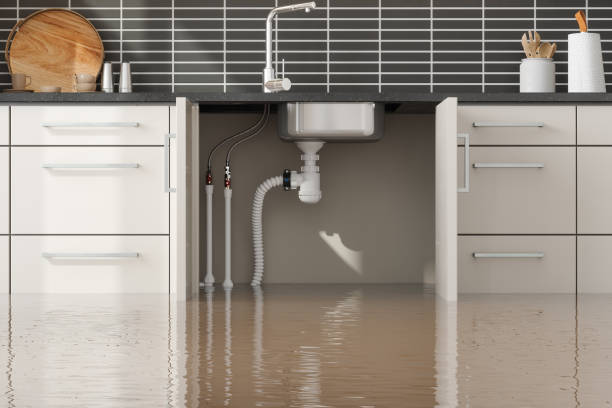 Best Water damage restoration experts  in Honey Grove, TX