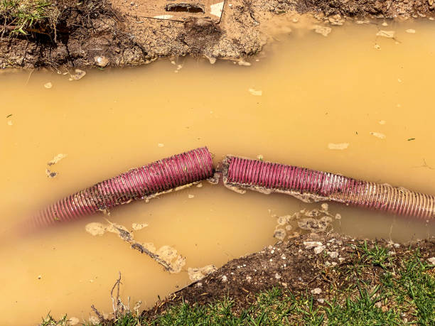 Best 24/7 water damage repair  in Honey Grove, TX